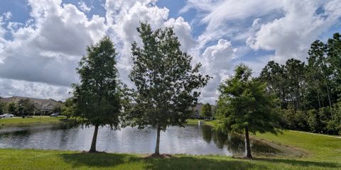 PXL_20250718_145644909.jpg