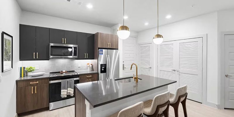 Houston Apartment: 801 Lawrence St