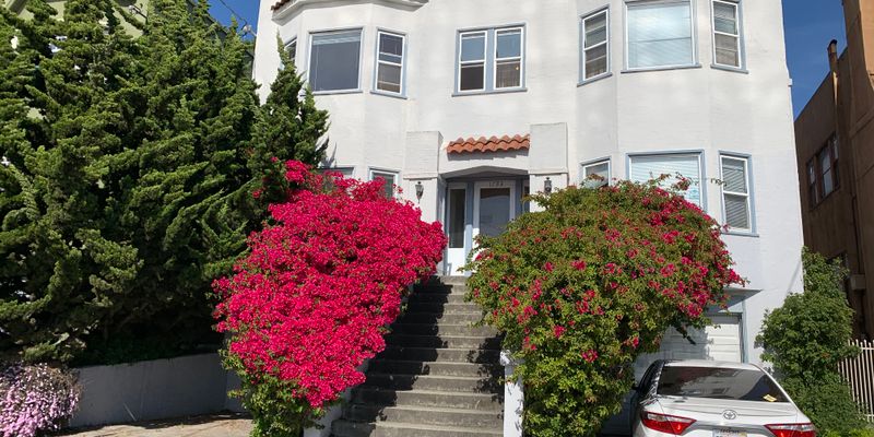 Berkeley Apartment: 1793 Oxford St