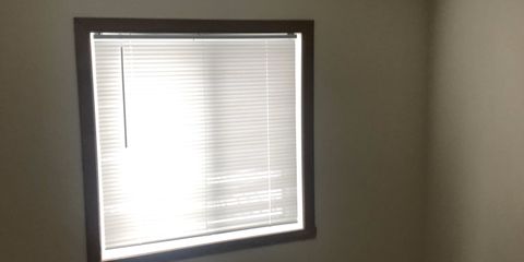 IMG_2195.jpg