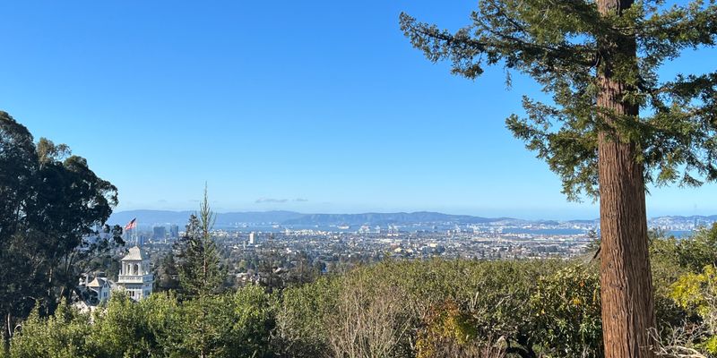 Berkeley House: 260 Stonewall Rd