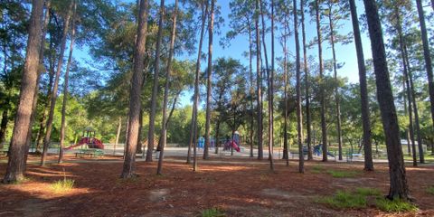 park.JPG