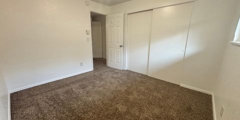 IMG_1106.jpeg