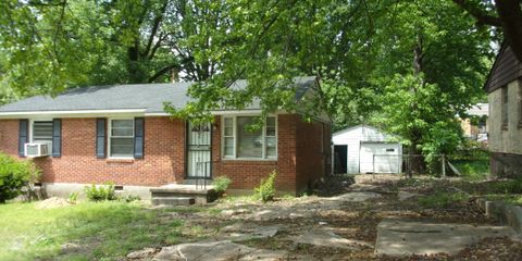 2166 Pamela pic (2).JPG