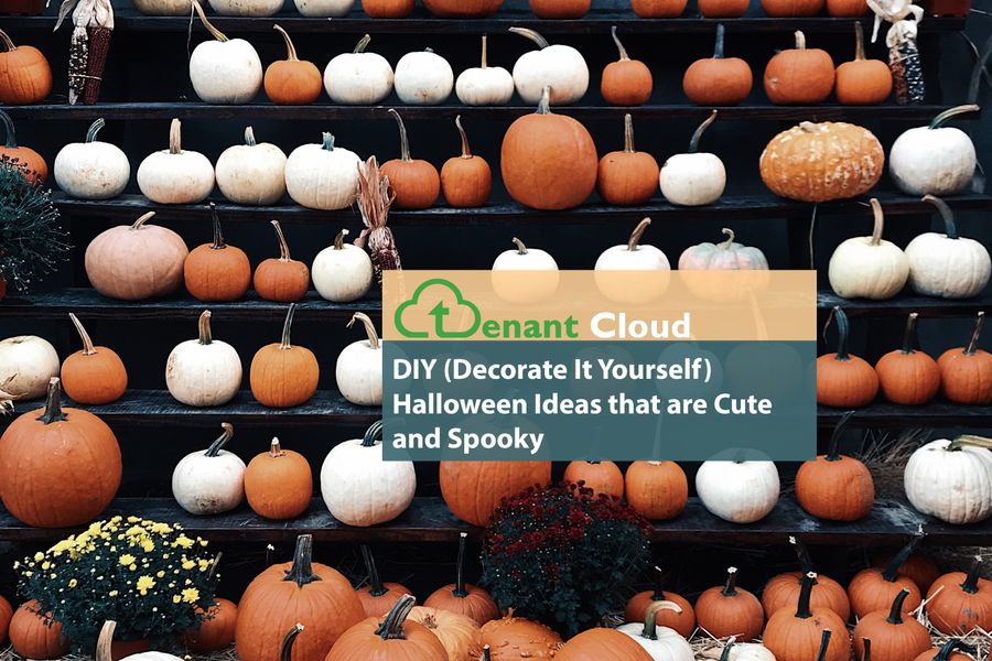 DIY (Decorate it Yourself) Halloween Ideas that are Cute and Spooky