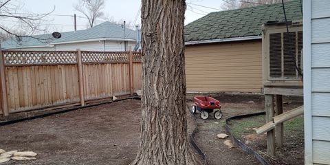 Backyard 1.jpg