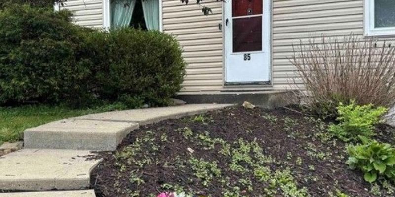 Pittsburgh House: 85 Adams Dr