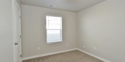 IMG_0290.jpg