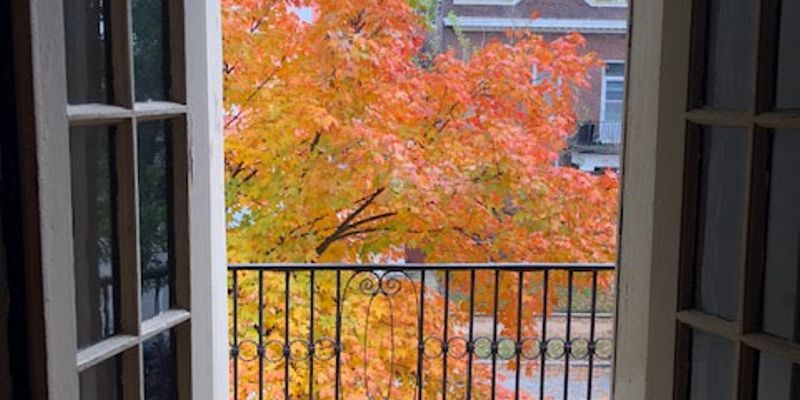 Saint Louis Apartment: 3453 Hartford Street