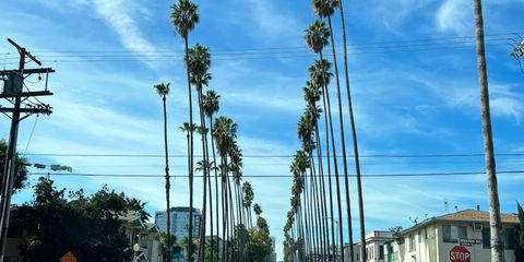 IMG_6013.jpeg