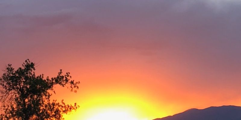 Grenada House: 427 Union Street