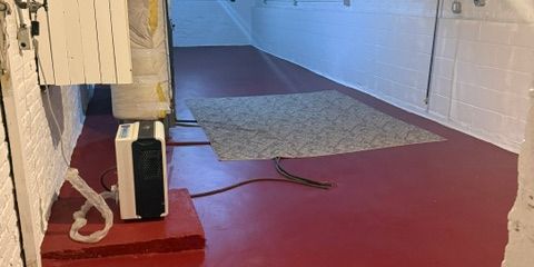 IMG_4350.jpeg