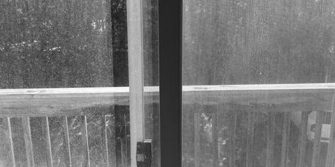 IMG_3272.JPEG