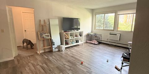 IMG_5816.jpeg