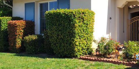 20260408_101744.jpg