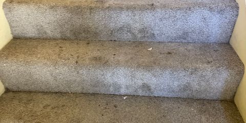 IMG_6302.jpeg