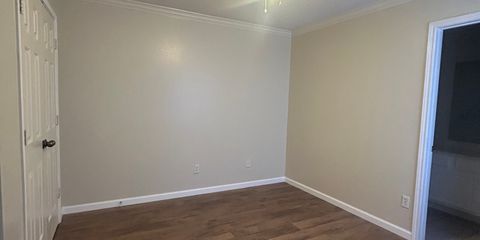 IMG_4744.jpeg