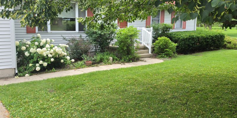 Gifford House: 107 Kendall St