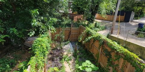 20250812_151816.jpg