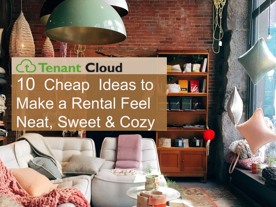 10 Cheap Ideas To Make A Rental Feel Neat, Sweet and Cozy