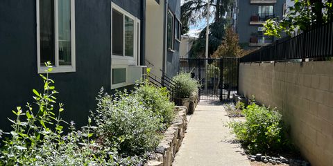 IMG_6012.jpeg