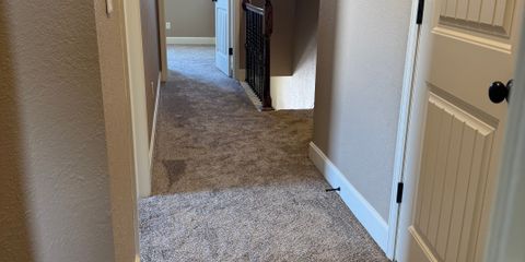 IMG_7888.jpeg