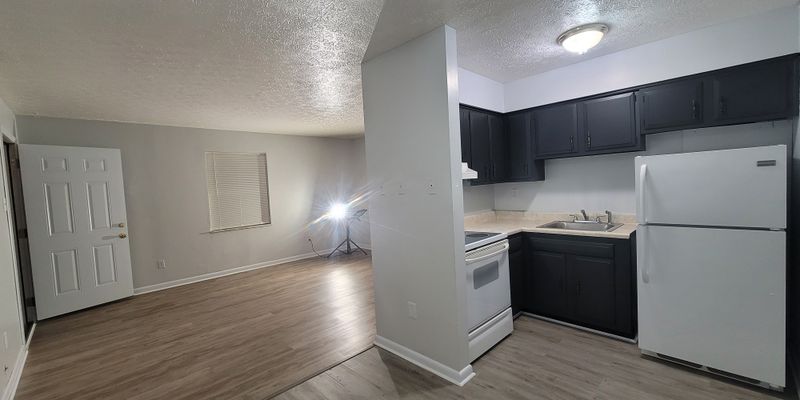 Leitchfield Apartment: 713 Mill St