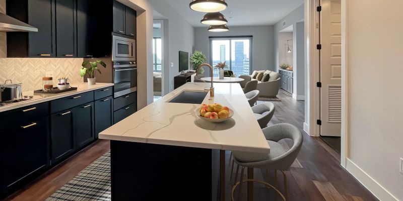 Houston Apartment: 1999 Briar Oaks Ln