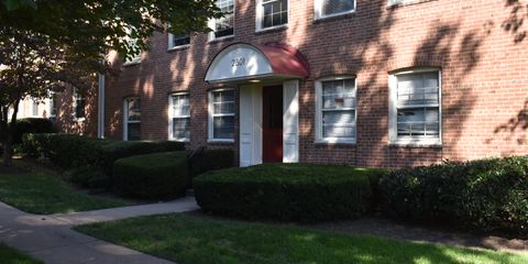 DSC_0699.JPG