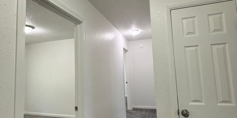IMG_1749.jpeg