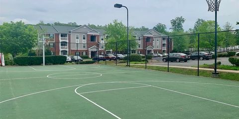 Basketball Courts (1).png