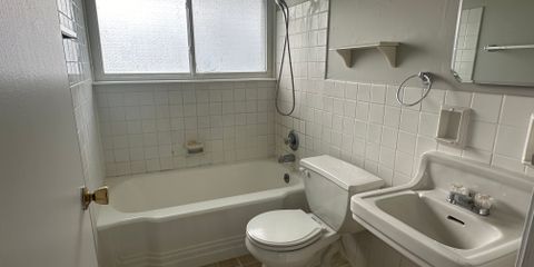 IMG_7389.JPEG