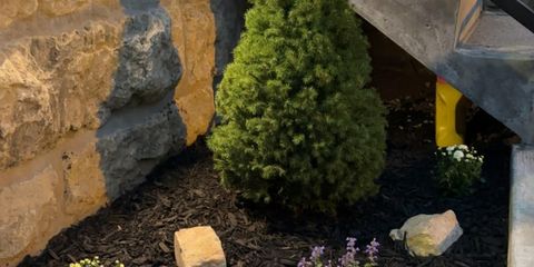 planter listing pic.jpg