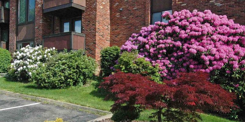 Bethel Park Apartment: 1270 Highfield Ct