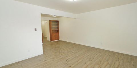 IMG_3906.jpg