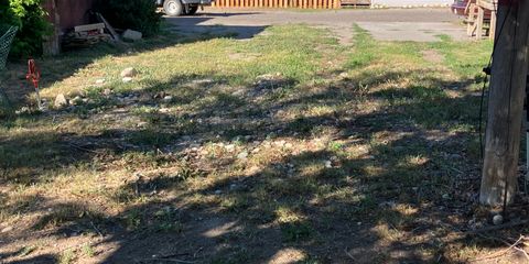 IMG_1600.jpeg