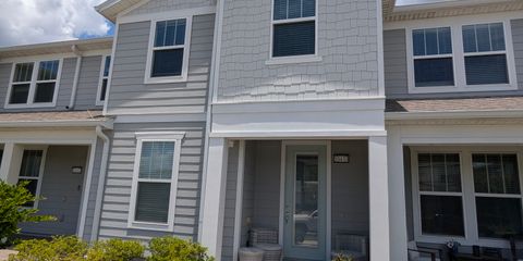 PXL_20250710_172954069.jpg