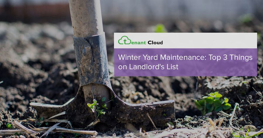 Winter Yard Maintenance: Top 3 Things on Landlord's List