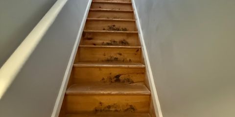 WhatsApp Image 2025-12-25 at 2.52.52 PM (5).jpeg