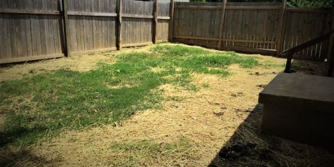 backyard.jpg