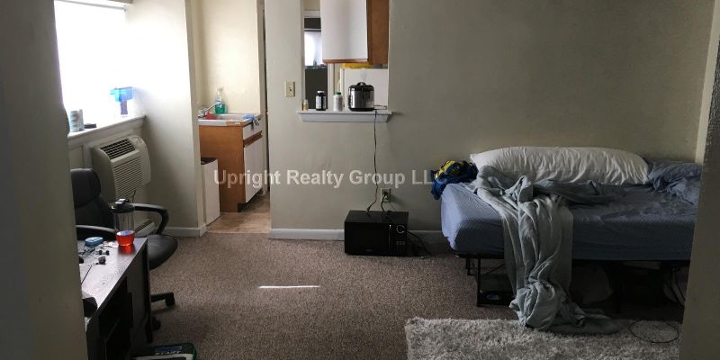 Boston Apartment: 231 Harrison Ave