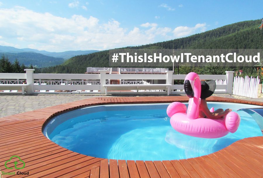 #ThisIsHowITC: Renting, Pink Flamingo and Lana
