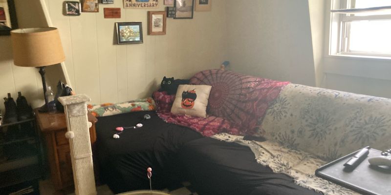 Leominster Apartment: 11 Blossom St