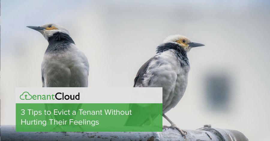 3 Tips to Evict a Tenant Without Hurting Their Feelings