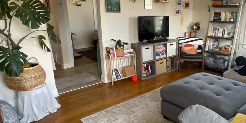 Burlington Apartment: 245 North Ave