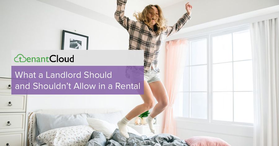 What a Landlord Should and Shouldn't Allow in a Rental