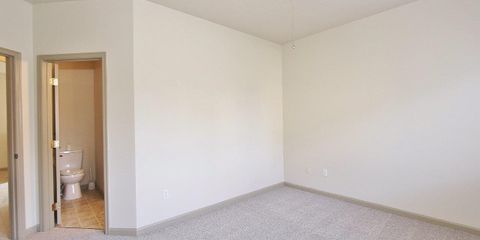 IMG_1155.jpg