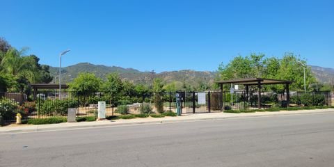 20260408_101750.jpg
