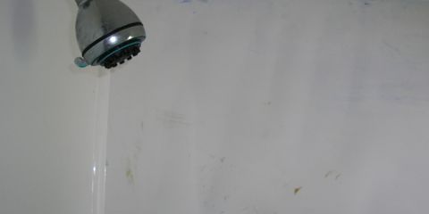 P1010045.JPG