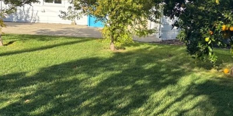 Sacramento House: 833 53rd St